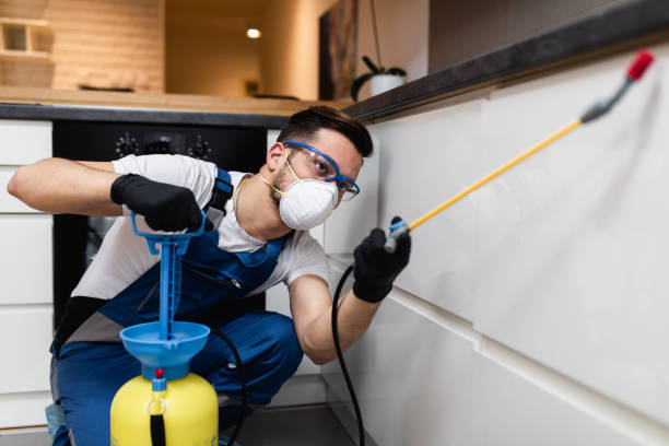  Ossian, IN Pest Control Pros