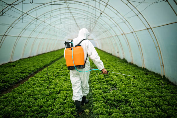 Best Affordable Pest Control Services  in Ossian, IN