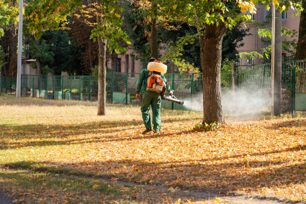 Best Pest Removal Services  in Ossian, IN