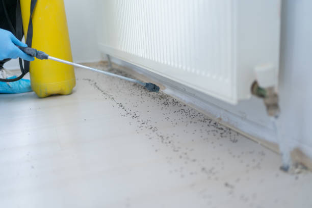 Best Pest Control Near Me  in Ossian, IN