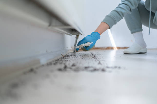 Trusted Ossian, IN Pest Control Experts
